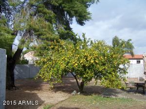 3132 E Acoma Dr, Phoenix, AZ 85032 photo 17