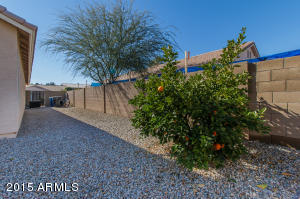 2956 E Michelle Way, Gilbert, AZ 85234 photo 21