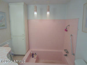 714 N Cortez Rd, Apache Junction, AZ 85119 photo 22
