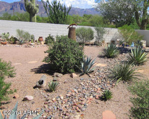 714 N Cortez Rd, Apache Junction, AZ 85119 photo 35