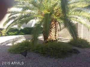 2204 E Siesta Ln, Phoenix, AZ 85024 photo 23
