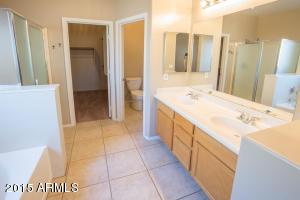 3916 S Sinova Ave, Gilbert, AZ 85297 photo 12