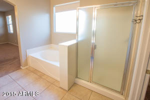 3916 S Sinova Ave, Gilbert, AZ 85297 photo 13