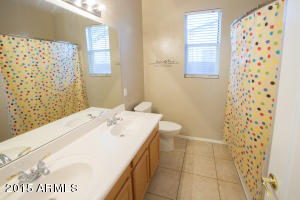 3916 S Sinova Ave, Gilbert, AZ 85297 photo 15