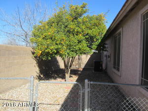 3715 E Linda Ct, Gilbert, AZ 85234 photo 22