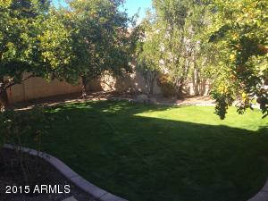 962 E Mission Dr, Tempe, AZ 85283 photo 31