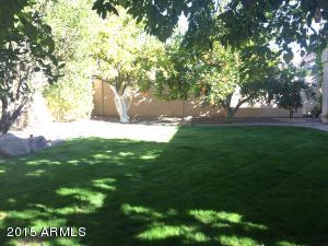 962 E Mission Dr, Tempe, AZ 85283 photo 29