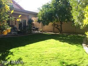 962 E Mission Dr, Tempe, AZ 85283 photo 28
