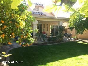 962 E Mission Dr, Tempe, AZ 85283 photo 30