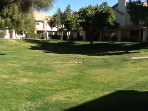 5808 E Brown Rd #20, Mesa, AZ 85205 photo 39