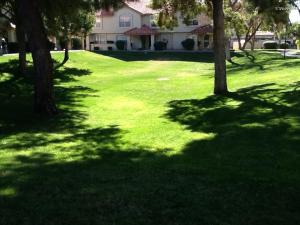 5808 E Brown Rd #20, Mesa, AZ 85205 photo 38