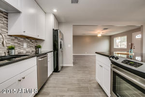 1252 E Marilyn Ave, Mesa, AZ 85204 photo 16