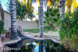 907 S Dolphin Dr, Gilbert, AZ 85233 photo 33