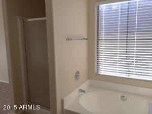 4517 E Tanglewood Dr, Phoenix, AZ 85048 photo 13