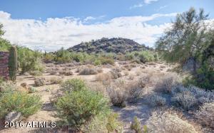 1734 E Beaubien Dr, Phoenix, AZ 85024 photo 48