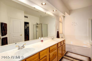 1734 E Beaubien Dr, Phoenix, AZ 85024 photo 22