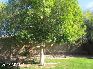  1019 N 93rd Pl, Mesa, AZ 85207 photo 35