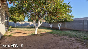 3151 E Delta Ave, Mesa, AZ 85204 photo 21