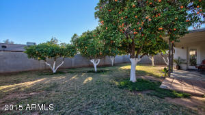 3151 E Delta Ave, Mesa, AZ 85204 photo 19