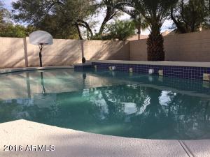 4459 E Dry Creek Rd, Phoenix, AZ 85044 photo 37