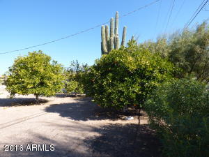745 E Desert Ave, Apache Junction, AZ 85119 photo 31