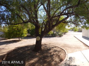 745 E Desert Ave, Apache Junction, AZ 85119 photo 35