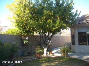 2287 E Amber Ln, Gilbert, AZ 85296 photo 6