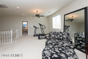 4841 S Romano --, Mesa, AZ 85212 photo 14