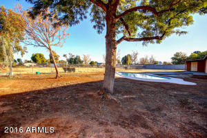 368 E Shannon St, Gilbert, AZ 85295 photo 26