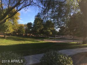 3943 E Potter Dr, Phoenix, AZ 85050 photo 9