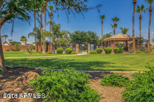 16640 S 43rd Pl, Phoenix, AZ 85048 photo 7