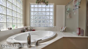 11413 E Shepperd Ave, Mesa, AZ 85212 photo 27