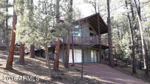 6832 W Robbin Ln, Pine, AZ 85544 photo 1