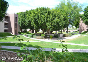 1340 N Recker Rd #211, Mesa, AZ 85205 photo 16