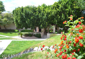 1340 N Recker Rd #211, Mesa, AZ 85205 photo 17