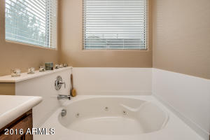 3381 E Marlene Dr, Gilbert, AZ 85296 photo 18