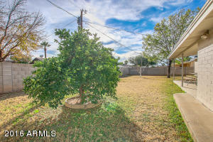 3227 W Eugie Ave, Phoenix, AZ 85029 photo 38