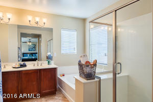 4691 S Twinleaf Dr, Gilbert, AZ 85297 photo 31