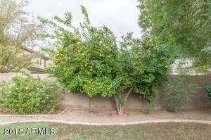 1269 E Iris Dr, Chandler, AZ 85286 photo 31