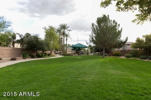 1269 E Iris Dr, Chandler, AZ 85286 photo 35