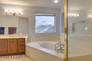 3042 E Minton St, Mesa, AZ 85213 photo 20