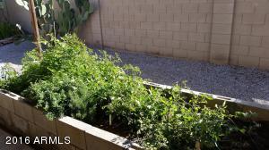 10238 E Keats Ave, Mesa, AZ 85209 photo 15