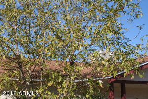 144 N Hunt Dr E, Mesa, AZ 85203 photo 21