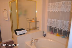 82 E Spur Ave, Gilbert, AZ 85296 photo 19