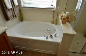 1939 E Indigo Ct, Gilbert, AZ 85298 photo 26