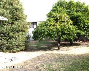 3134 E Monte Vista Rd, Phoenix, AZ 85008 photo 8