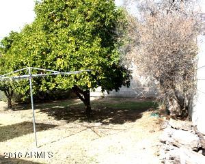 3134 E Monte Vista Rd, Phoenix, AZ 85008 photo 38