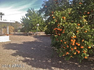 509 N 56th St, Mesa, AZ 85205 photo 20