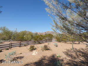 1412 E Kaniksu St, Apache Junction, AZ 85119 photo 35