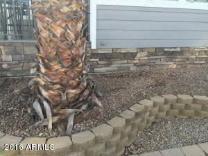 7750 E Broadway Rd #704, Mesa, AZ 85208 photo 40